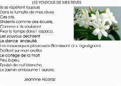 POEMES LES YOUYOUS DE MES REVES